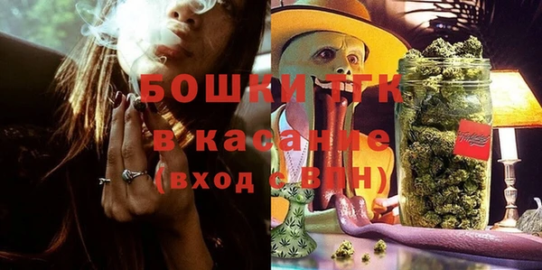 ГАЛЛЮЦИНОГЕННЫЕ ГРИБЫ Алзамай