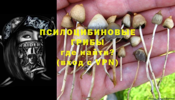 спайс Арсеньев
