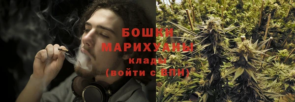 PSILOCYBIN Алексеевка
