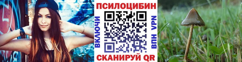 Псилоцибиновые грибы MAGIC MUSHROOMS Купить закладки Тырныауз